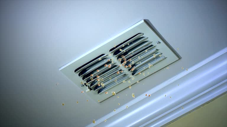 Best Ductwork Cleaning Services  in Wahese, NC