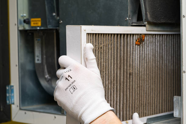 Best Duct Cleaning for Homes  in Wahese, NC