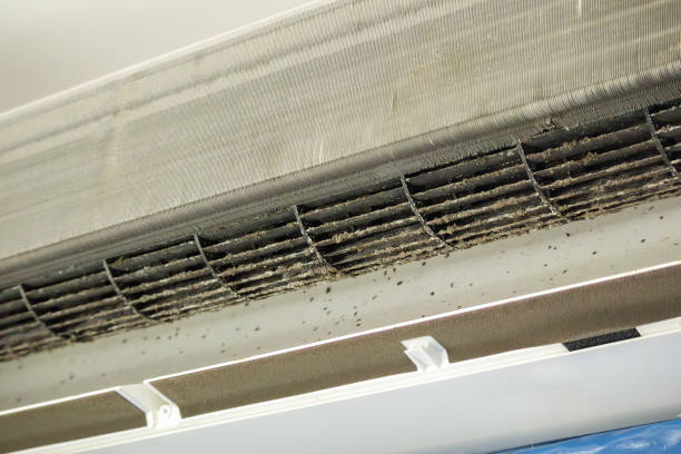 Best Air Duct Cleaning Near Me  in Wahese, NC